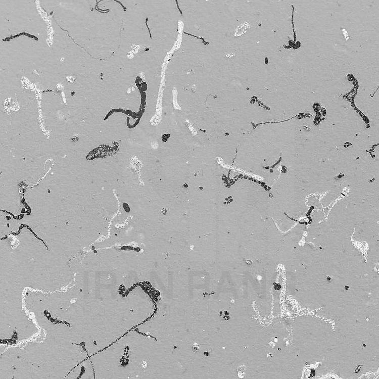 رنگ مولتی کالر کد 103 اطلس - فروشگاه ایران رنگ - رنگ مولتی کالر اطلس