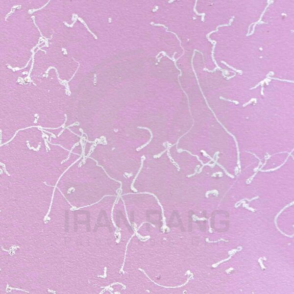 رنگ مولتی کالر کد 115 اطلس - فروشگاه ایران رنگ - رنگ مولتی کالر اطلس