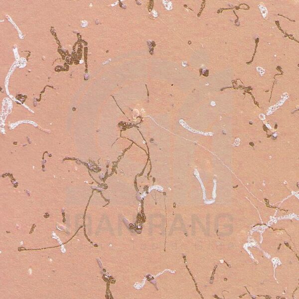 رنگ مولتی کالر کد 161 اطلس - فروشگاه ایران رنگ - رنگ مولتی کالر اطلس