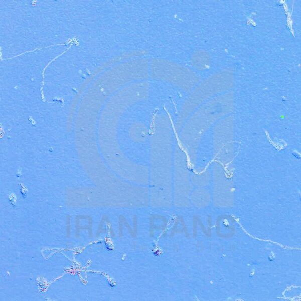 102 مولتی کالر 102 اطلس گالن (کارتن 4 عددی)