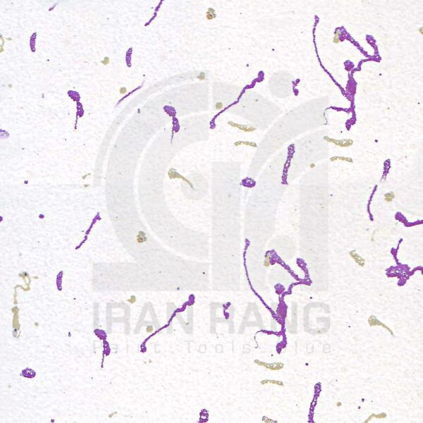 188 مولتی کالر 188 اطلس گالن (کارتن 4 عددی)