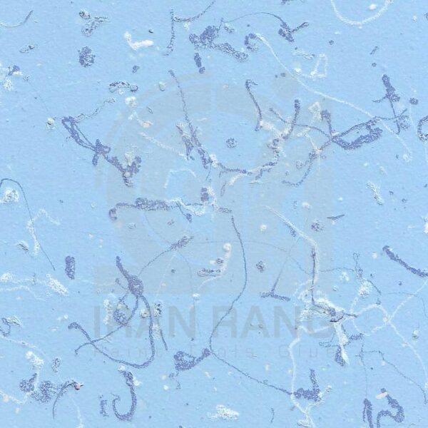 238 مولتی کالر 238 اطلس گالن (کارتن 4 عددی)