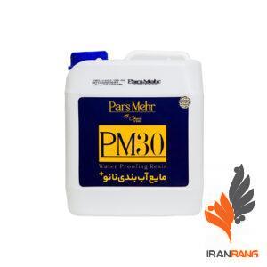 چسب آب بندی نانو پلاس PM30 پارس مهر گالن - ایران رنگ